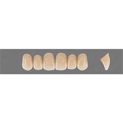 Vita Vitapan EXCELL Classical, Upper, Anterior, Shade B2, Mould O45