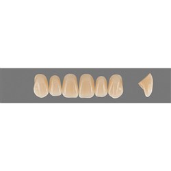 Vita Vitapan EXCELL Classical, Upper, Anterior, Shade B3, Mould T44