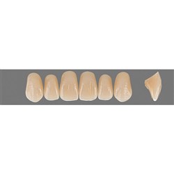 Vita Vitapan EXCELL Classical, Upper, Anterior, Shade C1, Mould O51