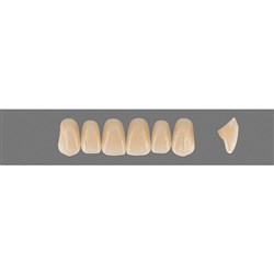Vita Vitapan EXCELL Classical, Upper, Anterior, Shade C3, Mould T42