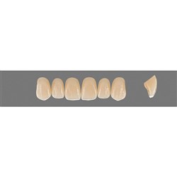 Vita Vitapan EXCELL Classical, Upper, Anterior, Shade D4, Mould O43