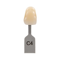 Vita Classical Shade Tab - C4