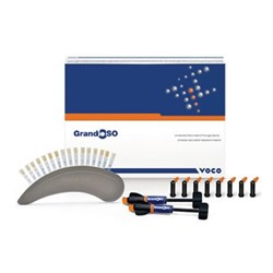 Voco Grandio SO - Nano-Hybrid Restorative - Shade C2 - 4g Syringe