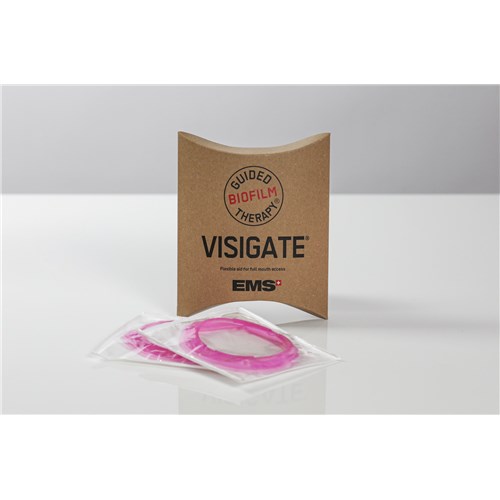 EMS-FV123R - EMS GBT VISIGATE Regular 60 Pieces Per Pack