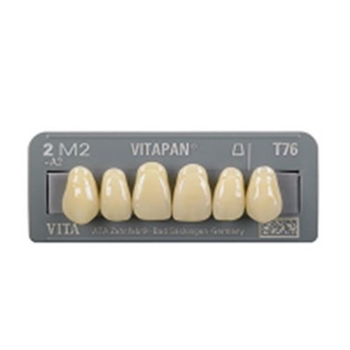 Vita Vitapan 3D, Upper, Anterior, Shade 2L25, Mould O99