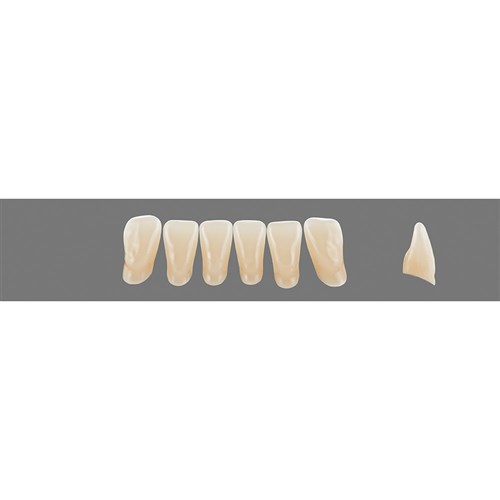 Vita Vitapan 3D, Lower, Anterior, Shade 2R15, Mould L11