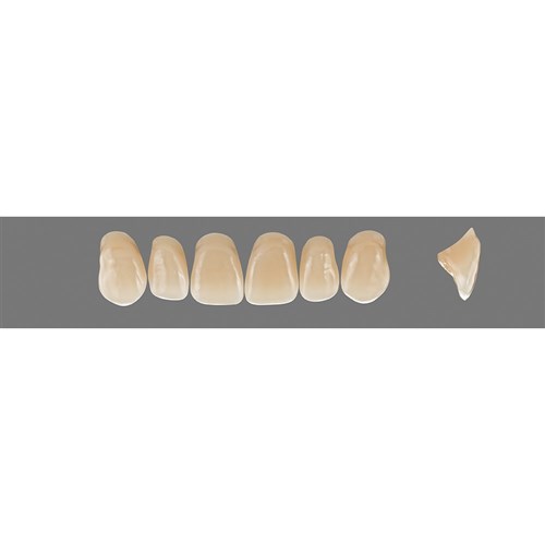 Vita Vitapan 3D, Upper, Anterior, Shade 2R15, Mould T56