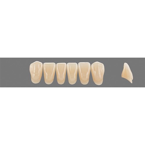 Vita Vitapan 3D, Lower, Anterior, Shade 2R25, Mould L14