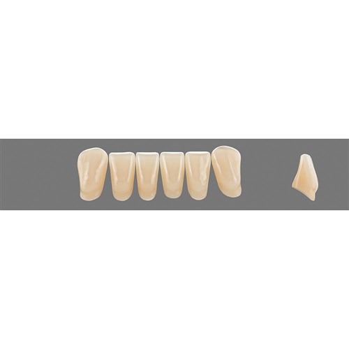 Vita Vitapan 3D, Lower, Anterior, Shade 2R25, Mould L8