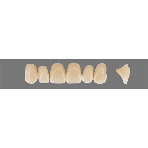 Vita Vitapan 3D, Upper, Anterior, Shade 2R25, Mould X66