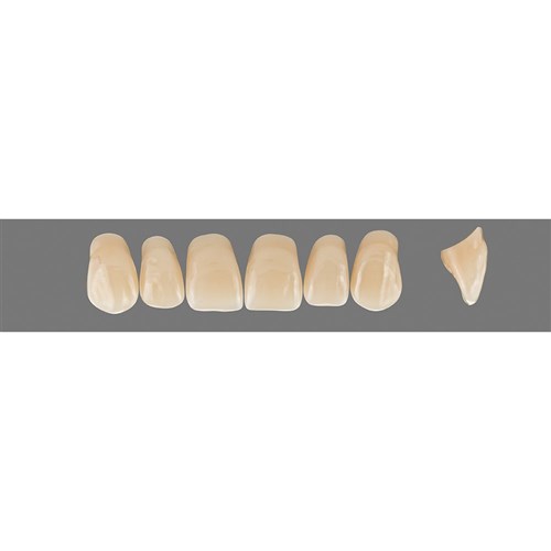 Vita Vitapan 3D, Upper, Anterior, Shade 2R25, Mould X87