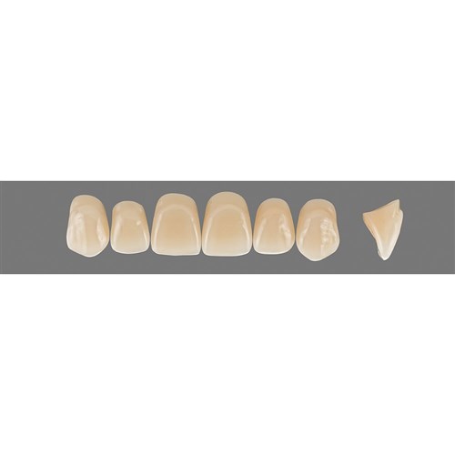 Vita Vitapan 3D, Upper, Anterior, Shade 3M2, Mould X96