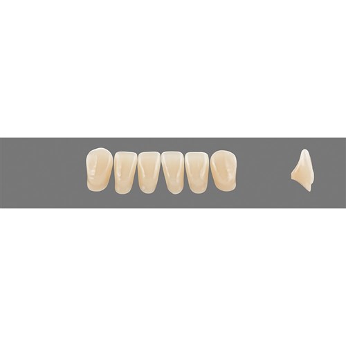 Vita Vitapan 3D, Lower, Anterior, Shade 3R15, Mould L7