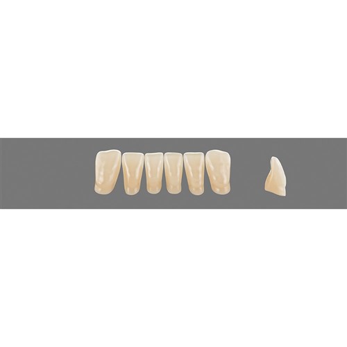 Vita Vitapan 3D, Lower, Anterior, Shade 3R25, Mould L4