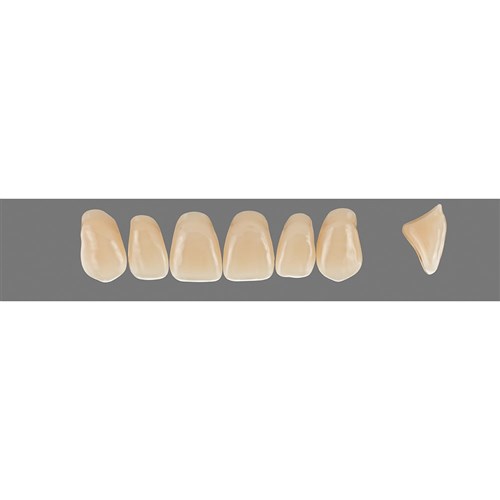 Vita Vitapan 3D, Upper, Anterior, Shade 3R25, Mould T88