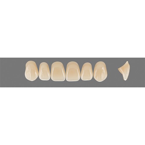 Vita Vitapan 3D, Upper, Anterior, Shade 3R25, Mould X77