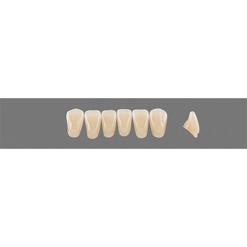 4M2 Lower L3 Anterior L3 - L15