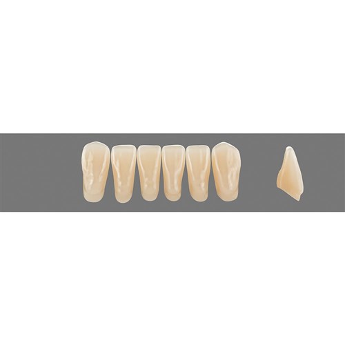 5M1 Lower L15 Anterior L3 - L15