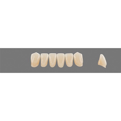 5M1 Lower L9 Anterior L3 - L15