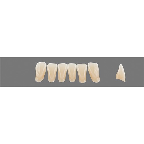 5M2 Lower L11 Anterior L3 - L15
