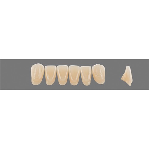 5M2 Lower L12 Anterior L3 - L15