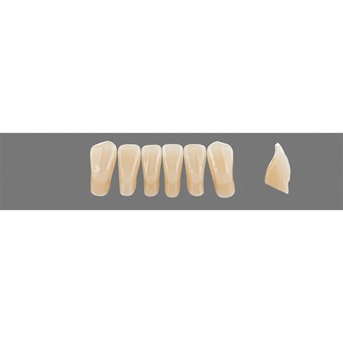5M2 Lower L5L Anterior L3 - L15