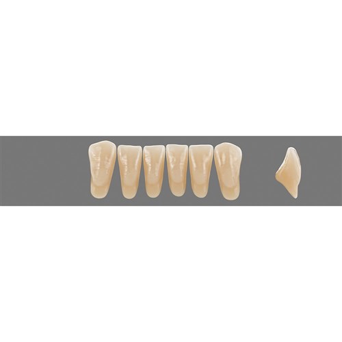 Vita MFT Lower, Anterior, Shade 3L25 B3, Mould L37N