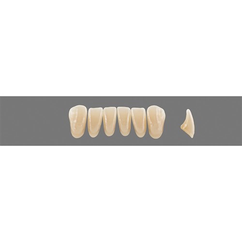 Vita MFT Lower, Anterior, Shade 3R25 A3.5, Mould L33