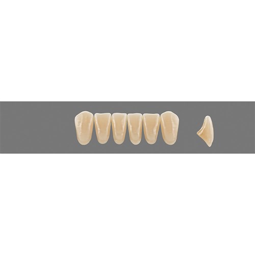 Vita MFT Lower, Anterior, Shade 3R25 A3.5, Mould L34