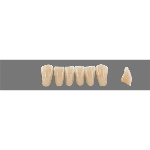 Vita MFT Lower, Anterior, Shade 3R25 A3.5, Mould L37