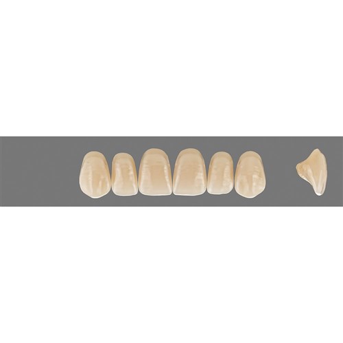 Vita MFT Upper, Anterior, Shade 3R25 A3.5, Mould R45