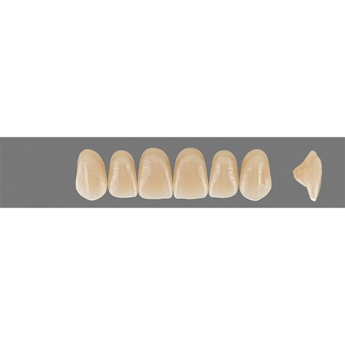 Vita MFT Upper, Anterior, Shade 3R25 A3.5, Mould R47