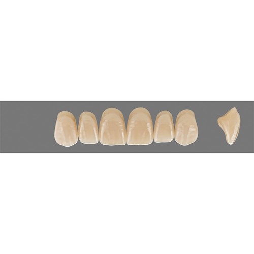 Vita MFT Upper, Anterior, Shade 3R25 A3.5, Mould S47