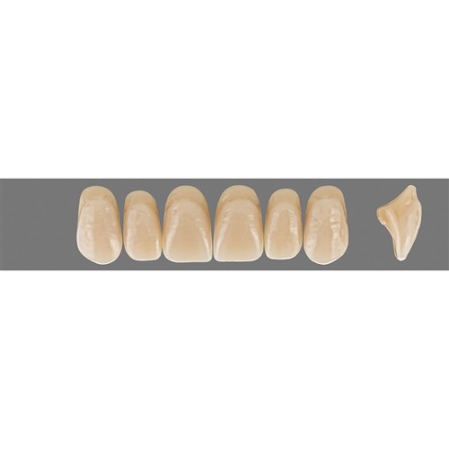 Vita MFT Upper, Anterior, Shade 3R25 A3.5, Mould S50