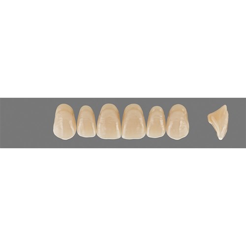 Vita MFT Upper, Anterior, Shade 3R25 A3.5, Mould T46