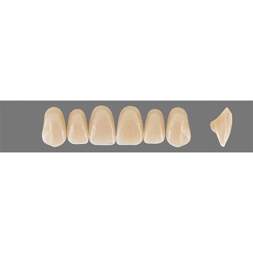 VITA MFT Upper Anterior Classical Shade A3 Mould T49