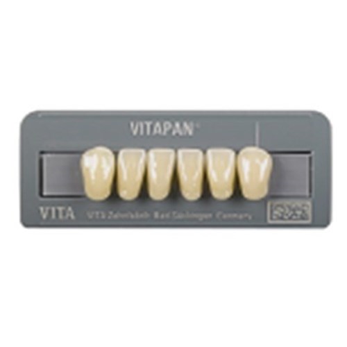 VITAPAN Classical Lower Anterior Shade A1 Mould L14