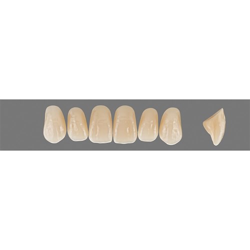 VITAPAN Plus Upper Anterior Shade A1 Mould T46 Classical