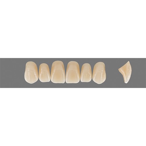 VITAPAN Plus Upper Anterior Shade A1 Mould T47 Classical
