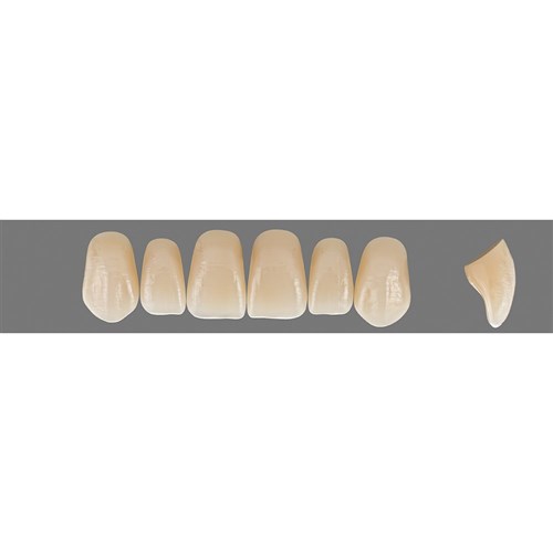 VITAPAN Plus Upper Anterior Shade A1 Mould T50 Classical