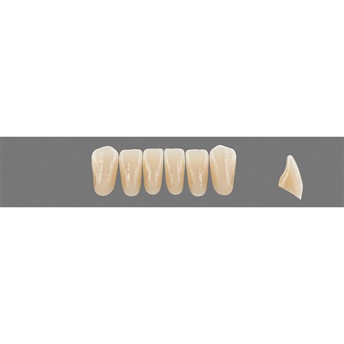 Vita Vitapan Plus Lower, Anterior, Shade B2, Mould L35