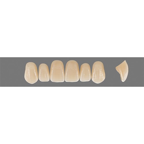 Vita Vitapan Plus Upper, Anterior, Shade B2, Mould R47