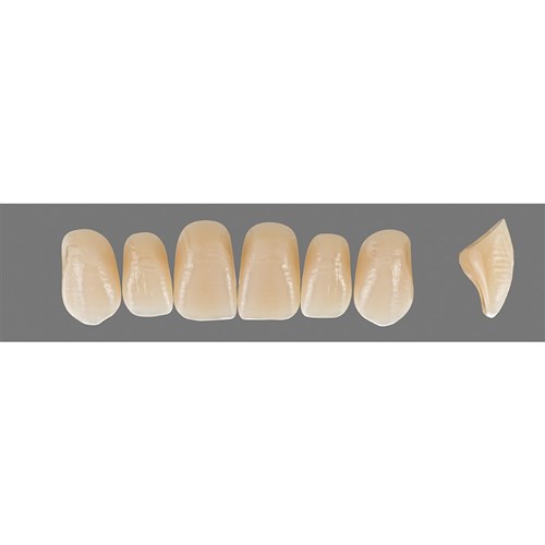 Vita Vitapan Plus Upper, Anterior, Shade B3, Mould T54