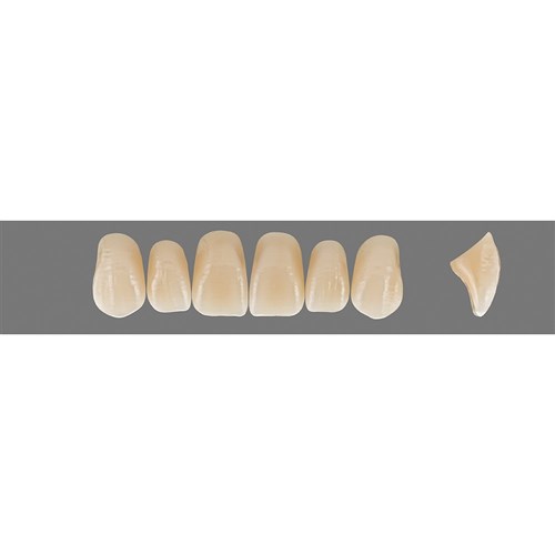 Vita Vitapan Plus Upper, Anterior, Shade D3, Mould T47