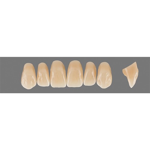 Vita Physiodens Classic Upper, Anterior, Shade B3, Mould T9L