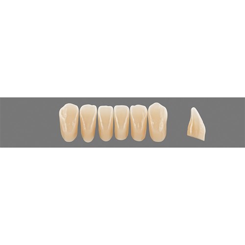 C2 Lower L3M Anterior