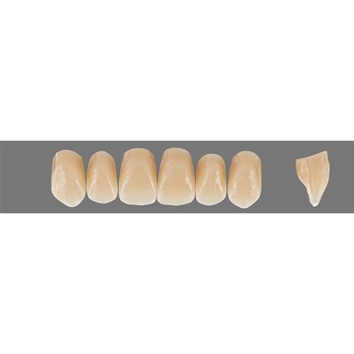 C2 Upper T8L Anterior