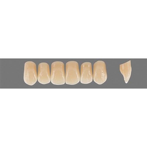 Vita Physiodens Classic Upper, Anterior, Shade C4, Mould O3M
