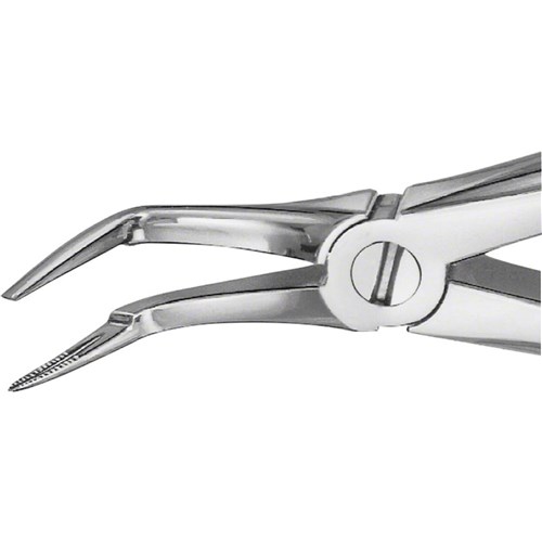Aesculap Forceps #46L - Very Fine Lower Roots - DG346R