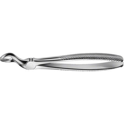 Aesculap Forceps #67 - Wisdom Teeth Narrow - DH767R